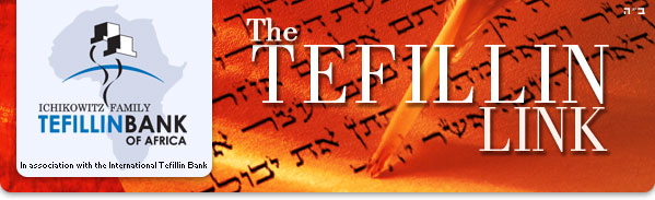 TefHeader_Image.jpg