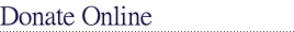 donateonline.gif